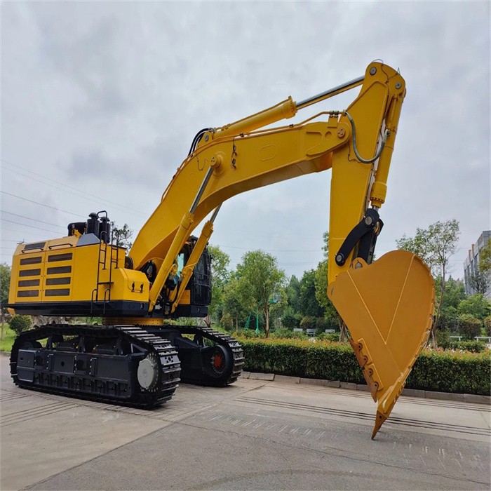 large hydraulic excavator (5)