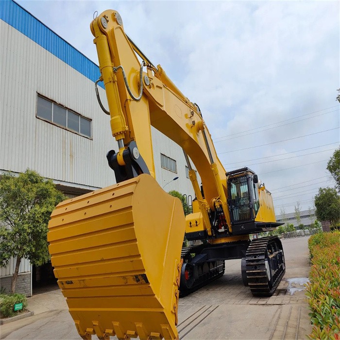 large hydraulic excavator (7)